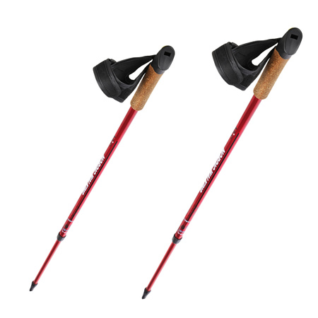 Kije Kijki Teleskopowe Nordic Walking Regulowane NILS