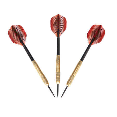 Rzutki Lotki Do Darta Sizalowego Zestaw 6 szt. Metalowe 20 g Z Etui NILS