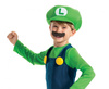 Kostium Strój Przebranie Super Luigi Hydraulik Na Bal Karnawał Dla Chłopca