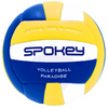 Piłka Siatkowa Do Siatkówki Treningowa Na Halę Rozmiar 5 + Pompka