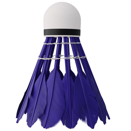 Lotki Do Gry W Badmintona Treningowe Piórkowe Kolorowe NILS Komplet 6 szt.