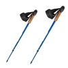 Kije Kijki Teleskopowe Nordic Walking Regulowane NILS