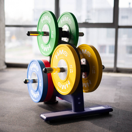 HMS Stalowy Stojak Na Obciążenia Talerze Do 500 kg