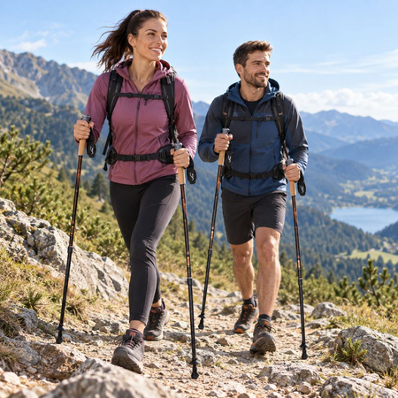 Kije Kijki Nordic Walking Rekreacyjne Regulowane Do Chodzenia 82-135 cm