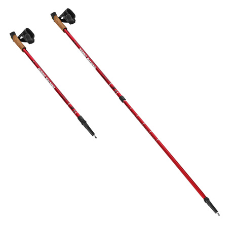 Kije Kijki Teleskopowe Nordic Walking Regulowane NILS