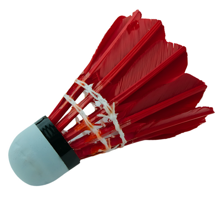 Zestaw Do Gry W Badmintona Rekreacyjnej Rakietki W Pokrowcu + 6 Lotek