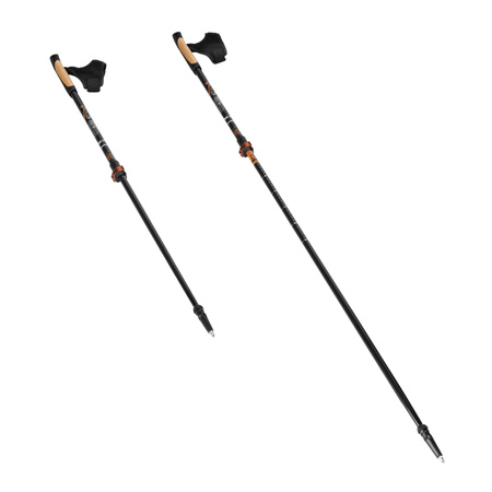 Kije Kijki Trekkingowe Turystyczne Do Chodzenia Nordic Walking Regulowane 93-125 cm NILS