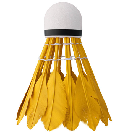 Lotki Do Gry W Badmintona Treningowe Piórkowe Kolorowe NILS Komplet 6 szt.