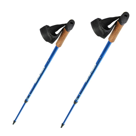 Kije Kijki Teleskopowe Nordic Walking Regulowane NILS