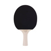 Rakietka Paletka Do Tenisa Stołowego Ping Ponga Dla Początkujących SPOKEY