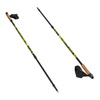 Kije Regulowane Nordic Walking Do Chodzenia Teleskopowe 82-140 cm NILS