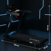 Bieżnia Elektryczna Treningowa Składana Do Ćwiczeń Cardio HMS  1-16 km/h