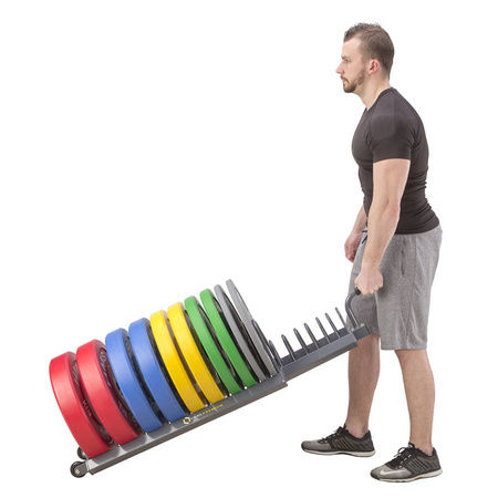 HMS Wózek Na Obciążenia Talerze 16 Przedziałów Do 250 kg