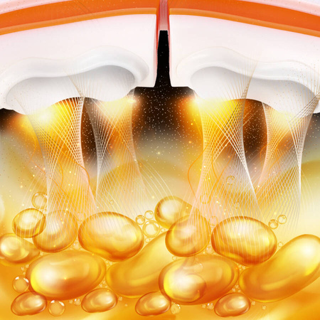 Hula Hop Magnetyczne Odchudzające Z Wypustkami i Obciążnikiem + Pas Wyszczuplający HMS