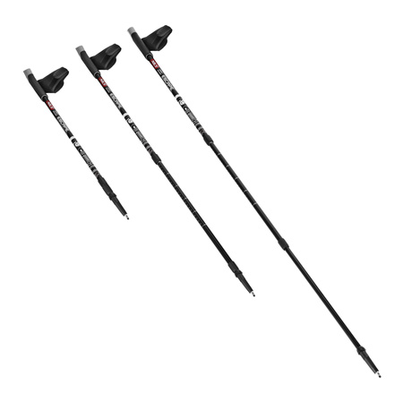 Kije Kijki Teleskopowe Nordic Walking Regulowane NILS
