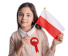 Kotylion Narodowy Kokarda Biało-Czerwona Flaga Godło Orzeł POLSKA 20 sztuk