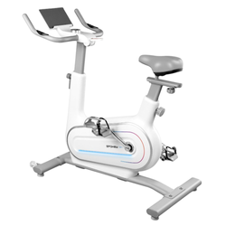 Rower Stacjonarny Treningowy Elektromagnetyczny Domowy Do Ćwiczeń Pionowy