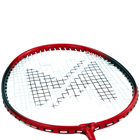 Zestaw Do Gry W Badmintona Rekreacyjnej Rakietki + 6 Lotek Piórkowych