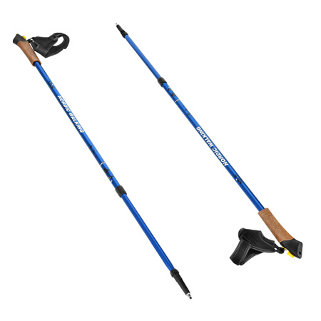 Kije Kijki Teleskopowe Nordic Walking Regulowane NILS